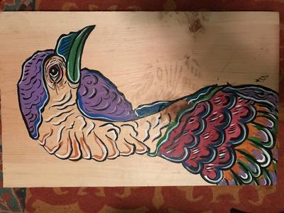 Stay Wild, Turkey. 